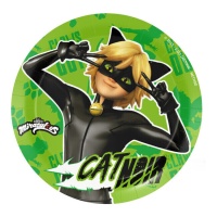 Cat Noir Teller 18 cm - 8 Stk.