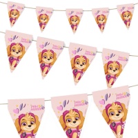 Paw Patrol Skye 3m-Banner