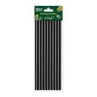 20cm schwarze biologisch abbaubare Papierstrohhalme - Honest Green - 25 Stk.