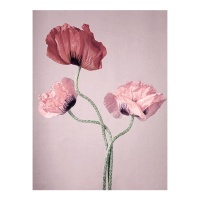 Mohnblumen Leinwand 30 x 40 cm - DCasa