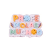 Profe magnet molas mucho