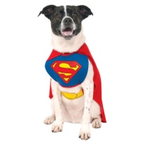 Superman Hundekostüm