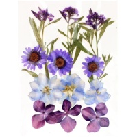 Getrocknete gepresste Blumen Mix Violett - Artemio - 12 Stk.