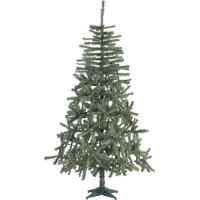 2,10 m Douglasien-Weihnachtsbaum