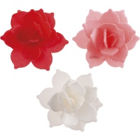 Obleas de nenúfar mini rojo, rosa y blanco de 4,5 cm - 8 unidades